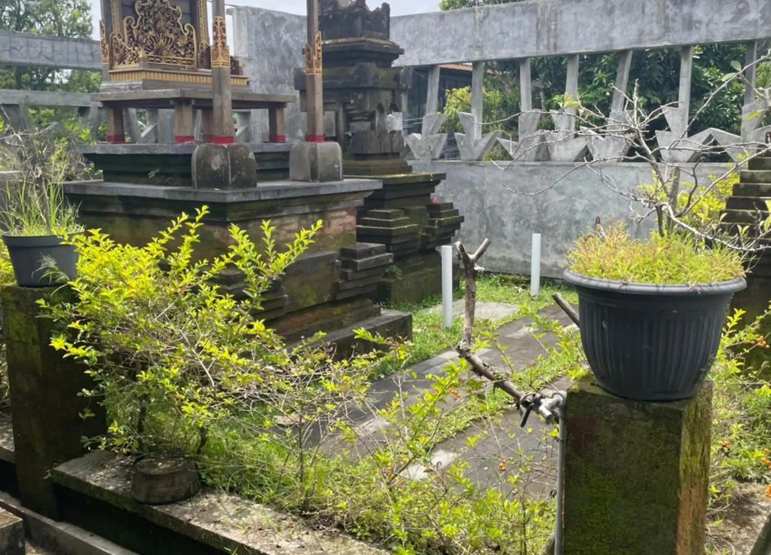 Guest house Pambuck Vegan Boutique Hotel Ubud