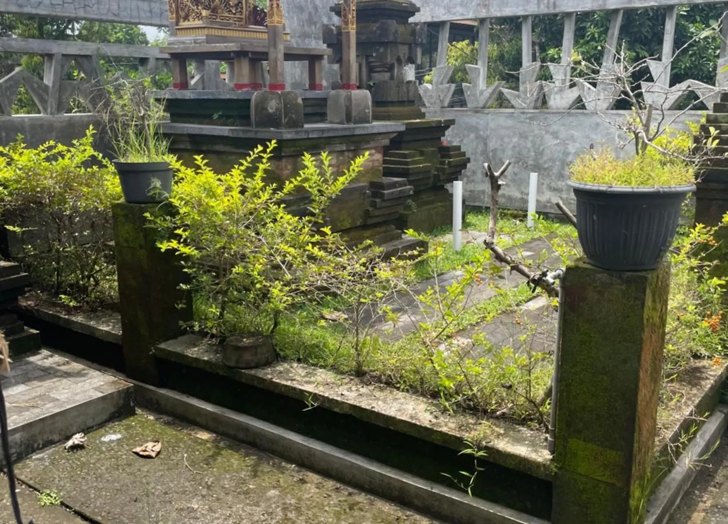 Pambuck Vegan Boutique Hotel Ubud  Indonesia