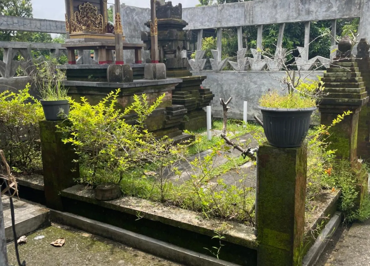 Pambuck Vegan Boutique Hotel Ubud